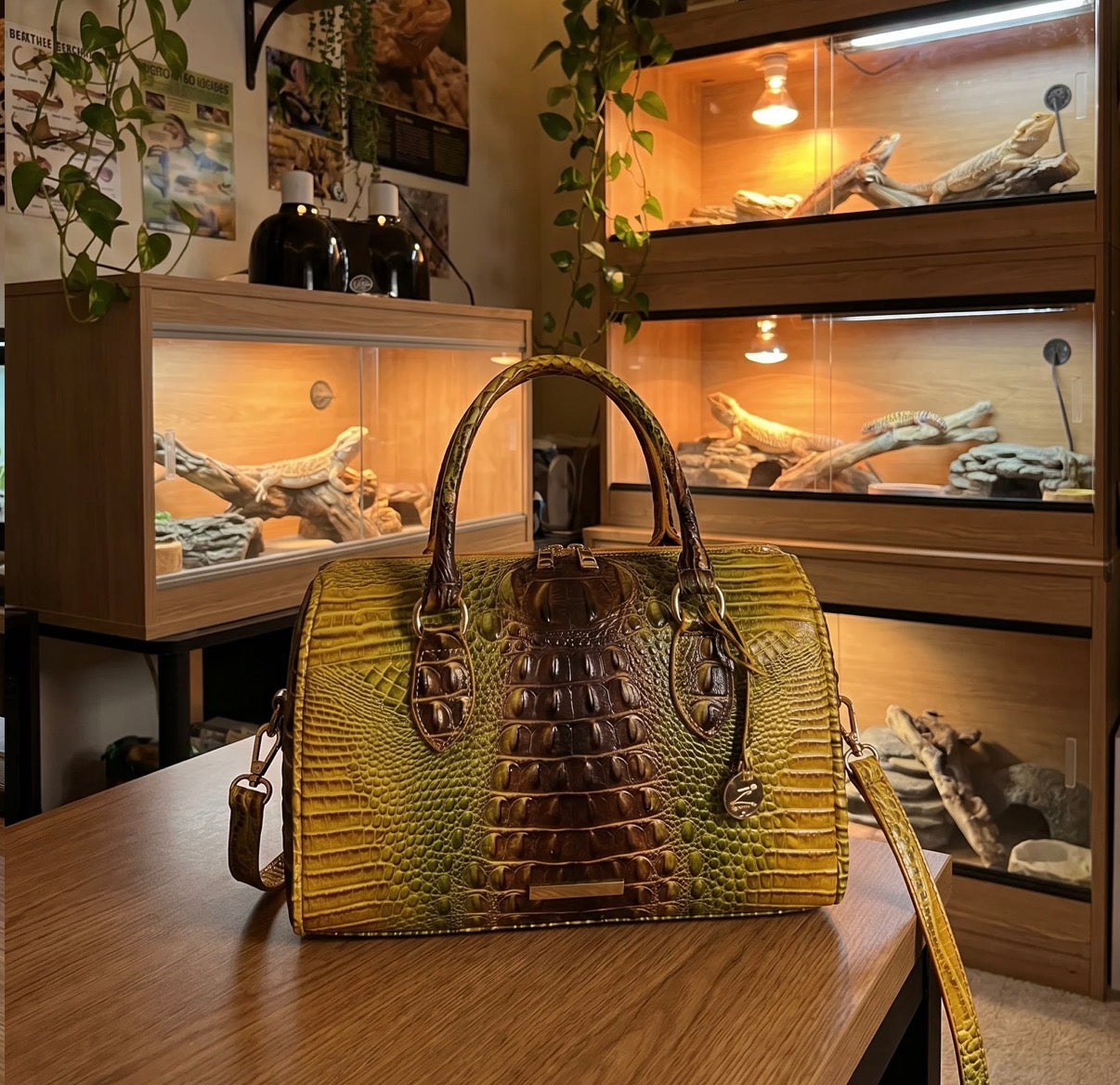 Crocodile handbags